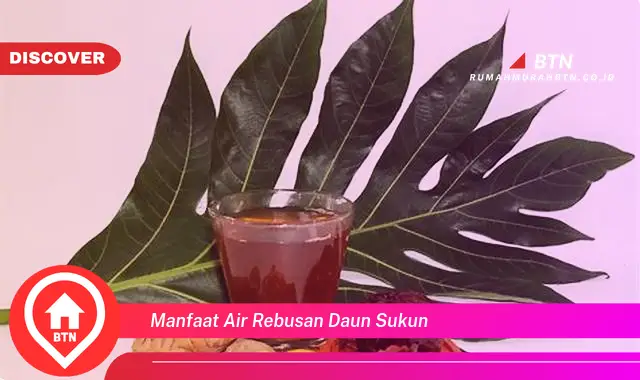 manfaat air rebusan daun sukun