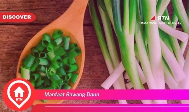 manfaat bawang daun