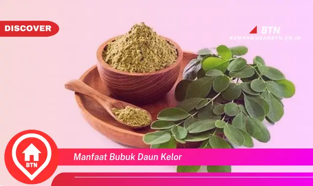 manfaat bubuk daun kelor