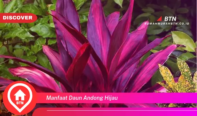 manfaat daun andong hijau