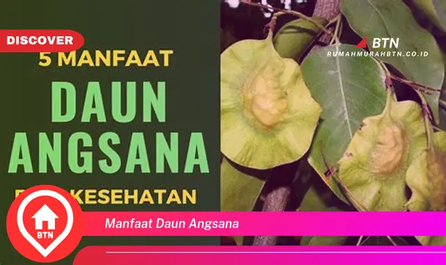 manfaat daun angsana