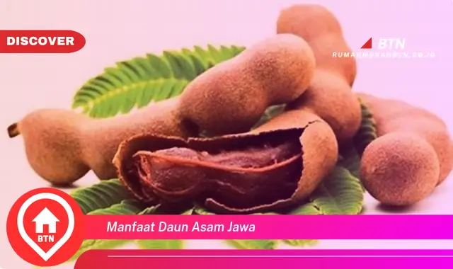 manfaat daun asam jawa