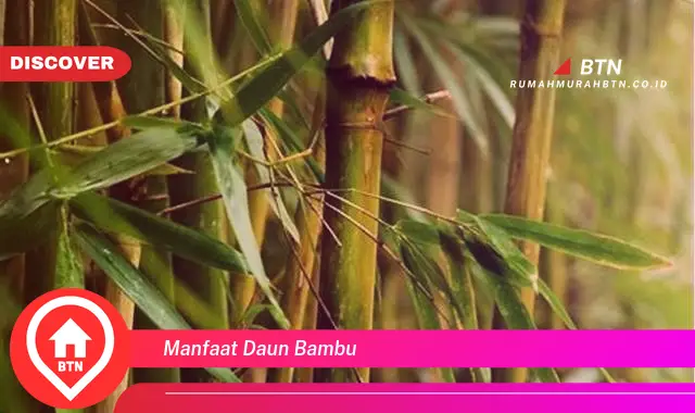 manfaat daun bambu