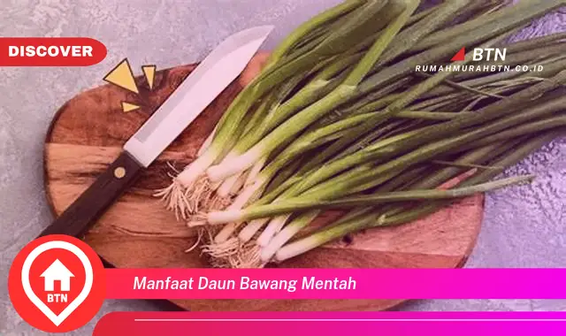 manfaat daun bawang mentah