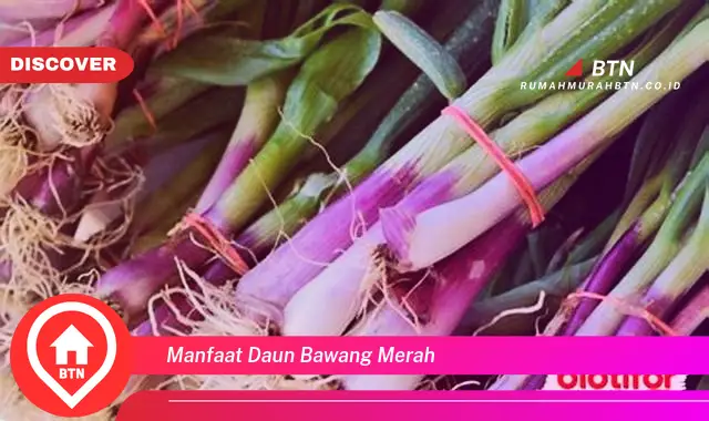 manfaat daun bawang merah