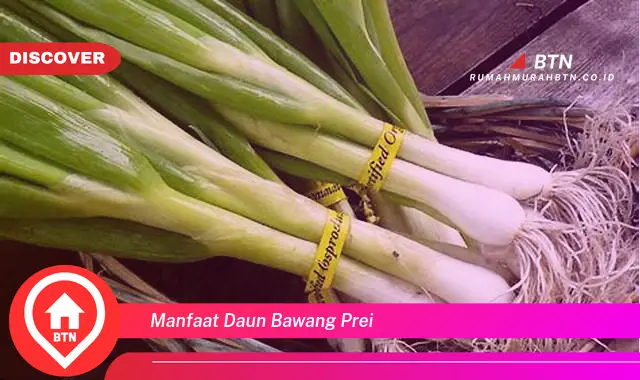 manfaat daun bawang prei