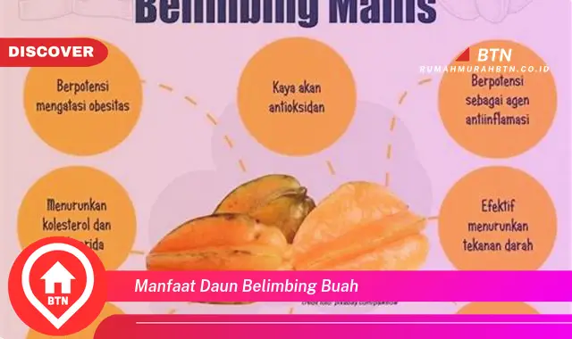 manfaat daun belimbing buah