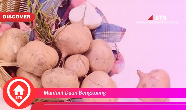 manfaat daun bengkuang