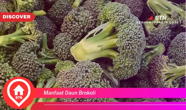 manfaat daun brokoli