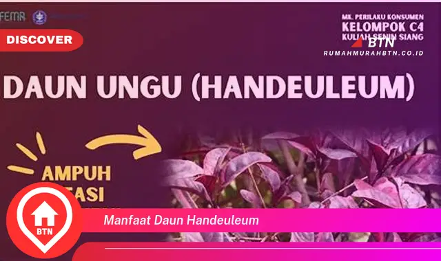 manfaat daun handeuleum