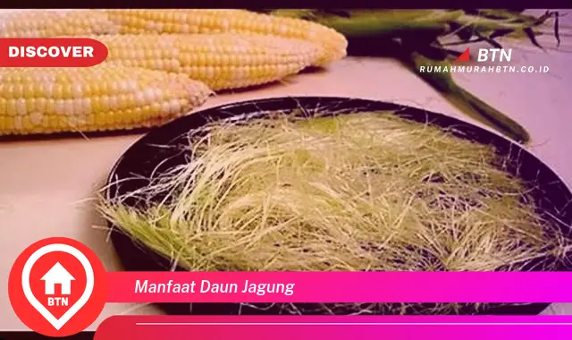 manfaat daun jagung