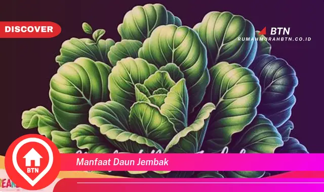 manfaat daun jembak