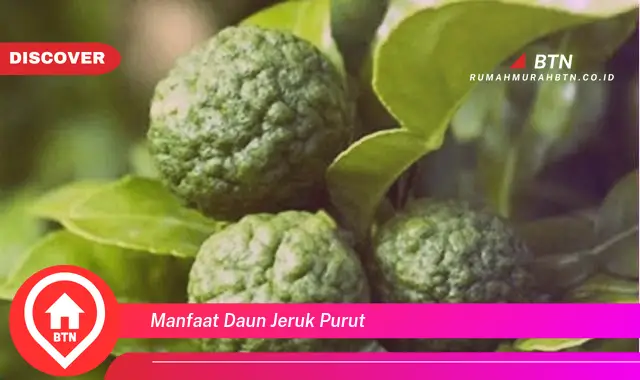 manfaat daun jeruk purut