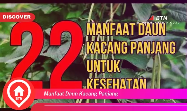 manfaat daun kacang panjang