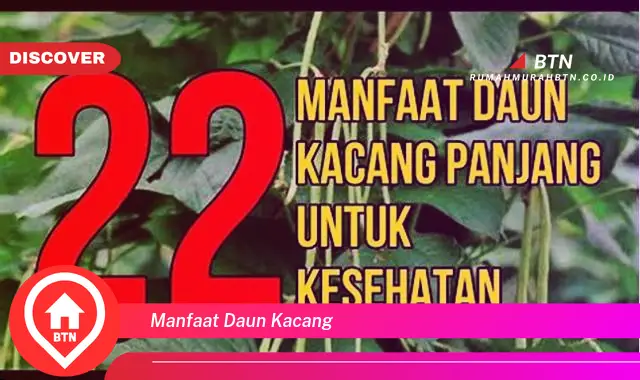 manfaat daun kacang