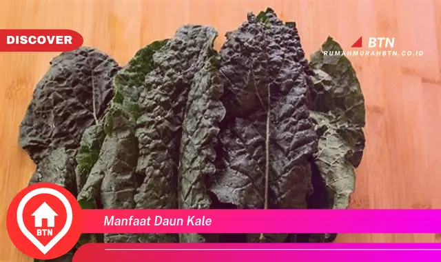 manfaat daun kale