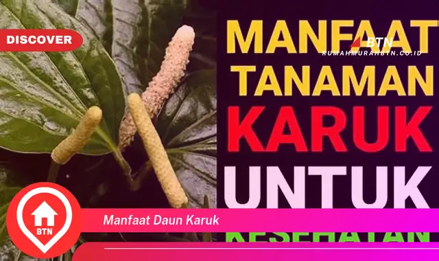 manfaat daun karuk