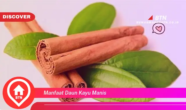 manfaat daun kayu manis