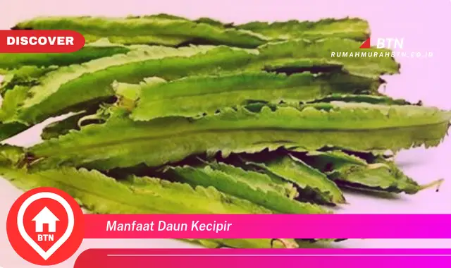 manfaat daun kecipir