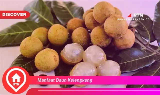 manfaat daun kelengkeng