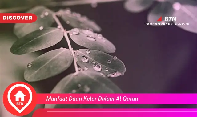 manfaat daun kelor dalam al quran