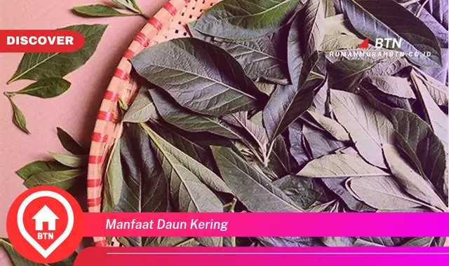 manfaat daun kering