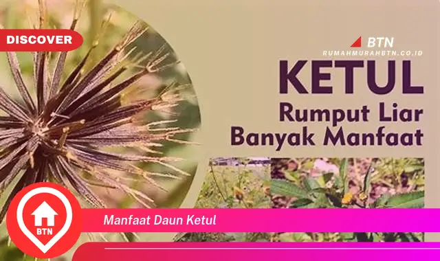 manfaat daun ketul