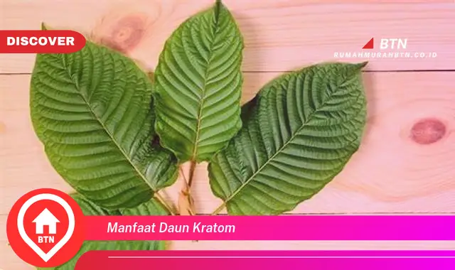 manfaat daun kratom