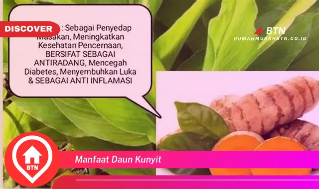 manfaat daun kunyit