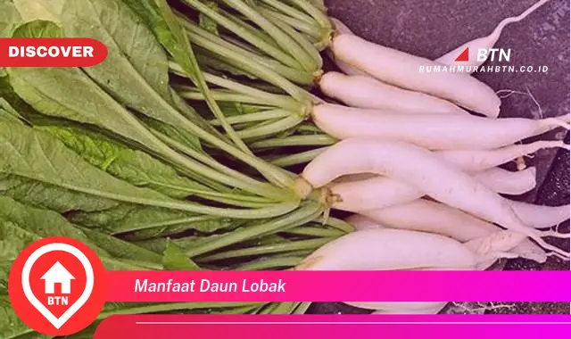 manfaat daun lobak