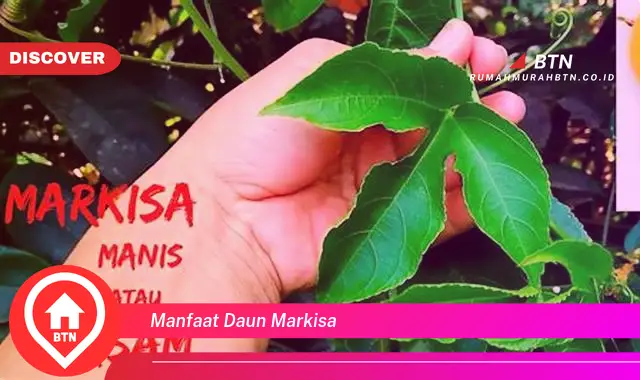 manfaat daun markisa