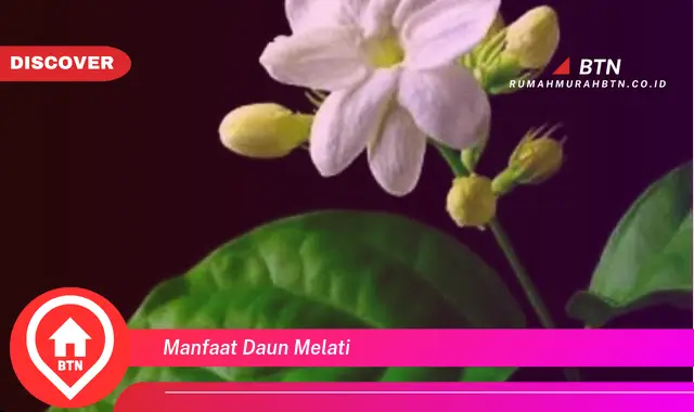 manfaat daun melati