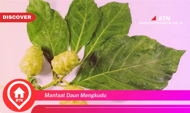 manfaat daun mengkudu