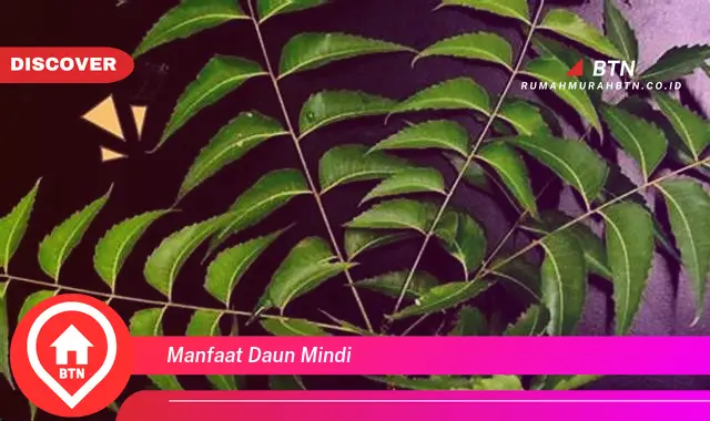 manfaat daun mindi