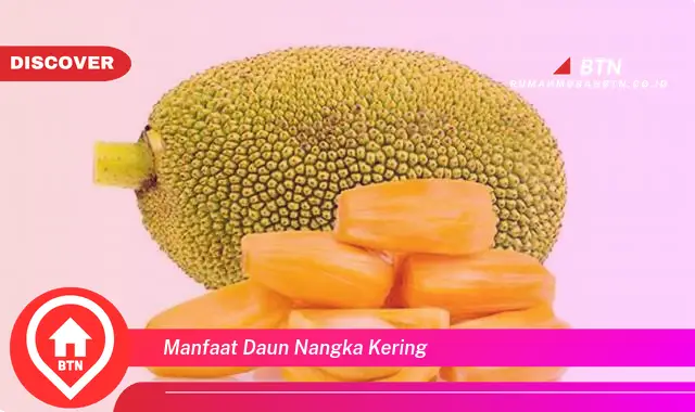 manfaat daun nangka kering