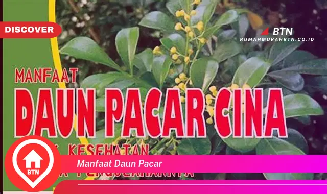 manfaat daun pacar