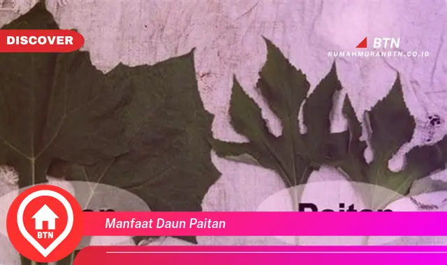 manfaat daun paitan