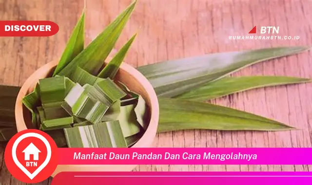 manfaat daun pandan dan cara mengolahnya