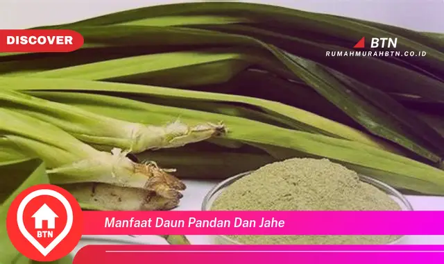 manfaat daun pandan dan jahe