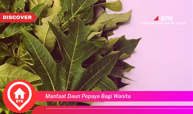 manfaat daun pepaya bagi wanita