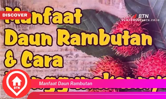 manfaat daun rambutan