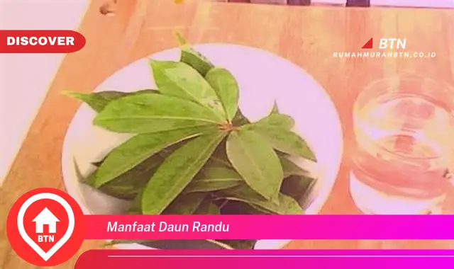 manfaat daun randu