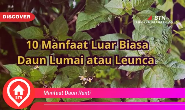 manfaat daun ranti