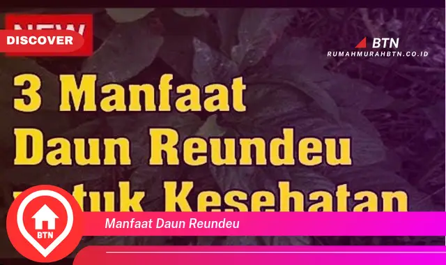 manfaat daun reundeu