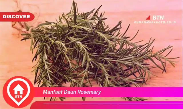 manfaat daun rosemary