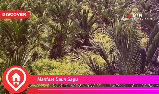 manfaat daun sagu