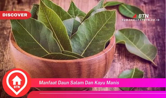 manfaat daun salam dan kayu manis