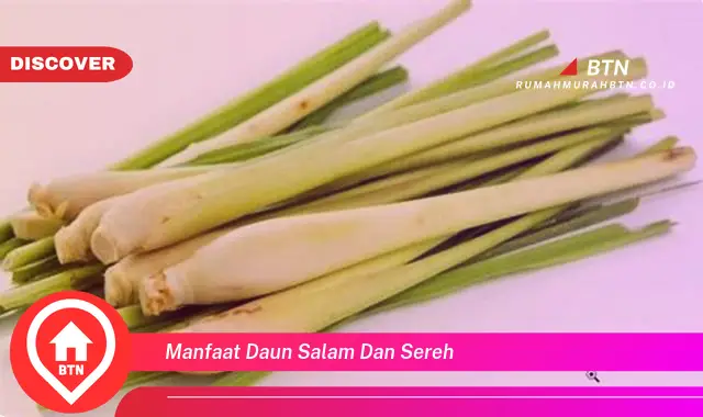 manfaat daun salam dan sereh