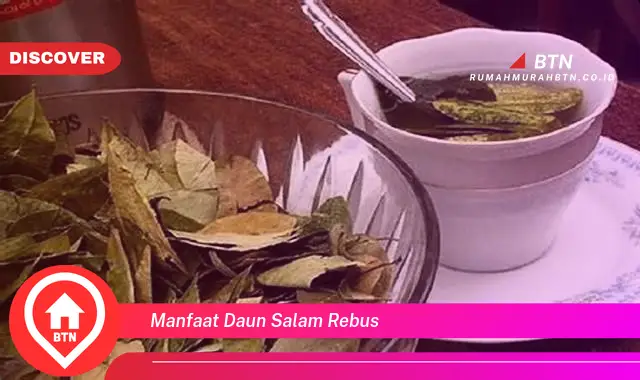 manfaat daun salam rebus