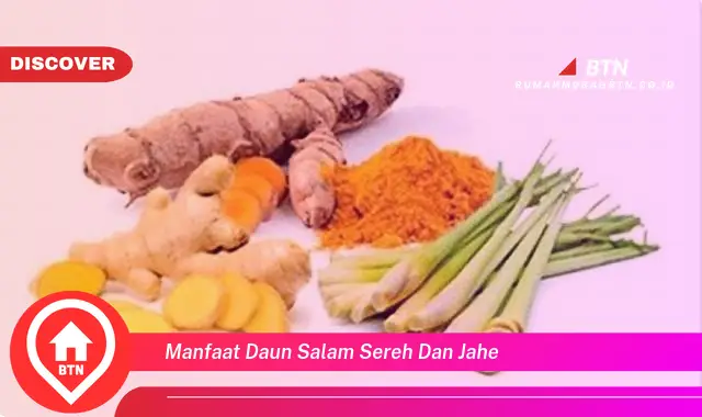 manfaat daun salam sereh dan jahe